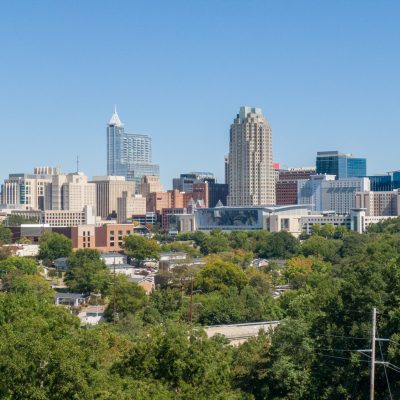 raleigh 3